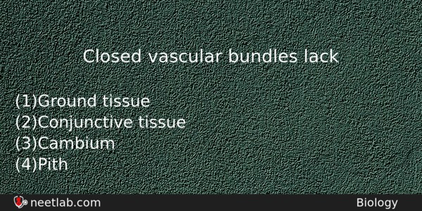 Closed Vascular Bundles Lack Biology Question 