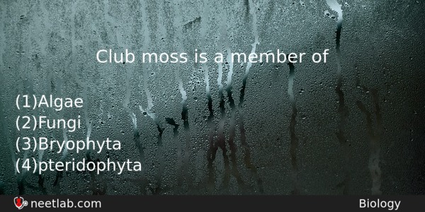 Club Moss Is A Member Of Biology Question 