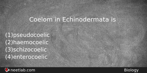 Coelom In Echinodermata Is Biology Question 
