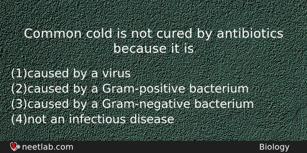 Common Cold Is Not Cured By Antibiotics Because It Is Biology Question 