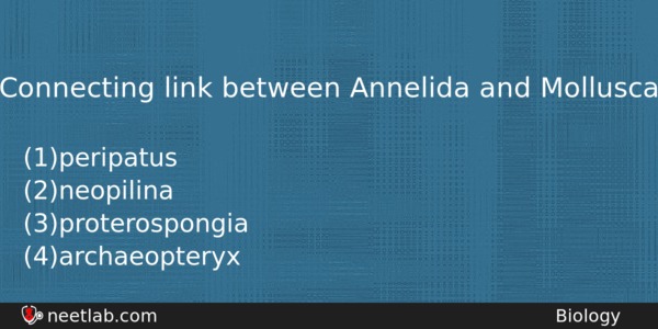 Connecting Link Between Annelida And Mollusca Biology Question 