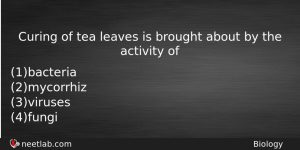 Curing Of Tea Leaves Is Brought About By The Activity Biology Question
