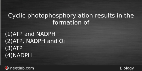 Cyclic Photophosphorylation Results In The Formation Of Biology Question 