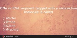 Dna Or Rna Segment Tagged With A Radioactive Molecule Is Biology Question