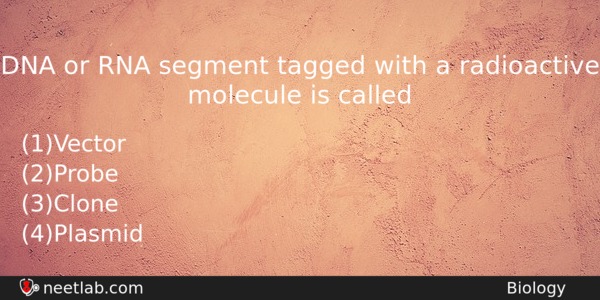 Dna Or Rna Segment Tagged With A Radioactive Molecule Is Biology Question 
