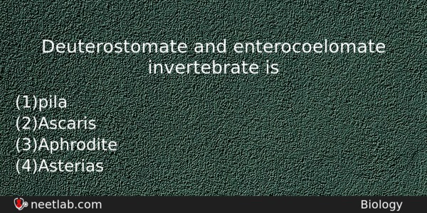 Deuterostomate And Enterocoelomate Invertebrate Is Biology Question 