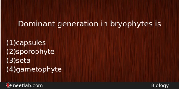 Dominant Generation In Bryophytes Is Biology Question 