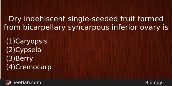 Dry Indehiscent Singleseeded Fruit Formed From Bicarpellary Syncarpous Inferior Ovary Biology Question 