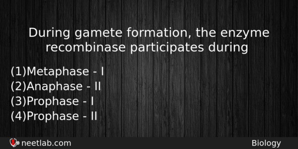 During Gamete Formation The Enzyme Recombinase Participates During Biology Question 