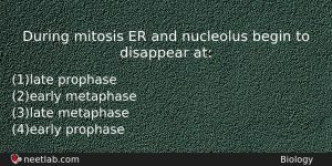 During Mitosis Er And Nucleolus Begin To Disappear At Biology Question