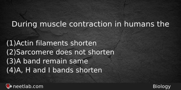 During Muscle Contraction In Humans The Biology Question 