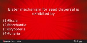 Elater Mechanism For Seed Dispersal Is Exhibited By Biology Question