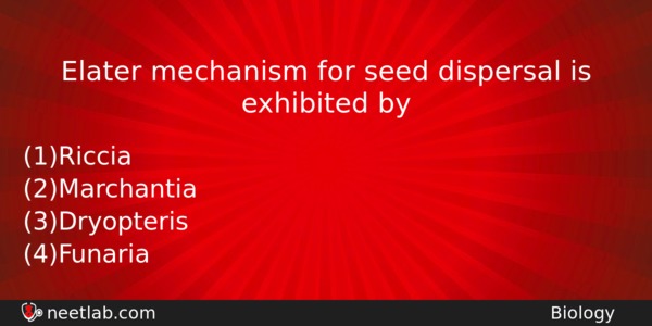 Elater Mechanism For Seed Dispersal Is Exhibited By Biology Question 
