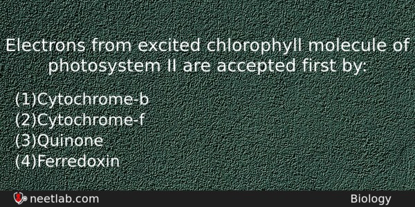 Electrons From Excited Chlorophyll Molecule Of Photosystem Ii Are Accepted Biology Question 