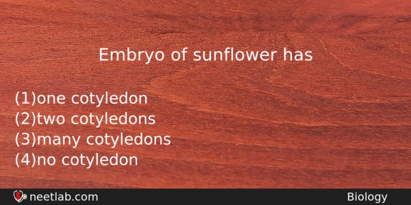 Embryo Of Sunflower Has Biology Question 