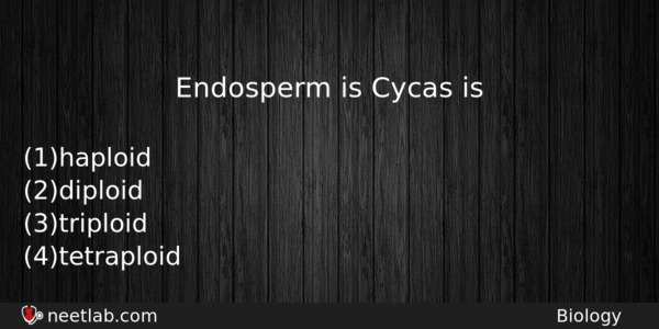 Endosperm Is Cycas Is Biology Question 