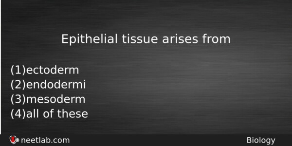 Epithelial Tissue Arises From Biology Question 