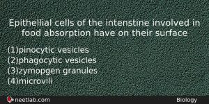 Epithellial Cells Of The Intenstine Involved In Food Absorption Have Biology Question