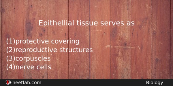 Epithellial Tissue Serves As Biology Question 