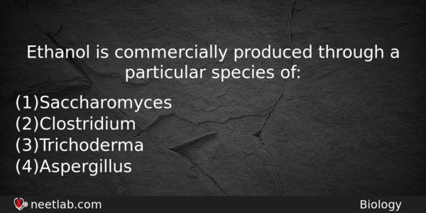 Ethanol Is Commercially Produced Through A Particular Species Of Biology Question 