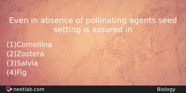 Even In Absence Of Pollinating Agents Seed Setting Is Assured Biology Question 