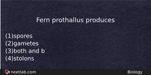 Fern Prothallus Produces Biology Question