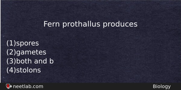 Fern Prothallus Produces Biology Question 