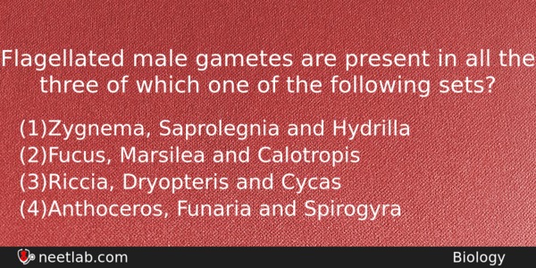 Flagellated Male Gametes Are Present In All The Three Of Biology Question 