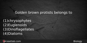 Golden Brown Protists Belongs To Biology Question