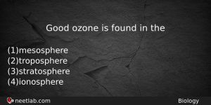 Good Ozone Is Found In The Biology Question