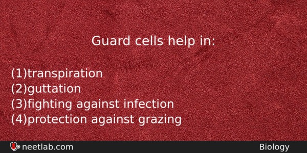 Guard Cells Help In Biology Question 