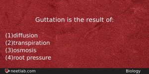 Guttation Is The Result Of Biology Question