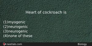 Heart Of Cockroach Is Biology Question