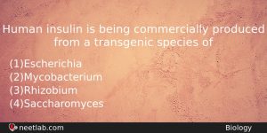 Human Insulin Is Being Commercially Produced From A Transgenic Species Biology Question