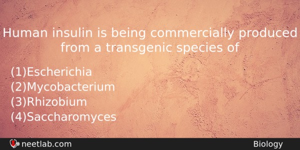 Human Insulin Is Being Commercially Produced From A Transgenic Species Biology Question 