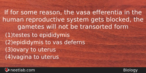 If For Some Reason The Vasa Efferentia In The Human Biology Question 