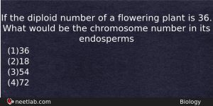 If The Diploid Number Of A Flowering Plant Is 36 Biology Question