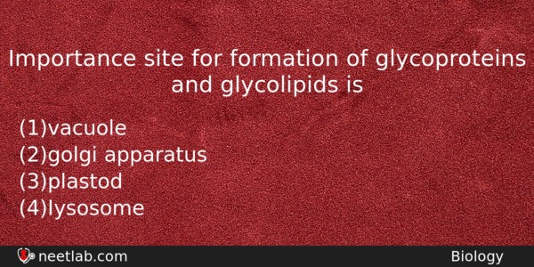Importance Site For Formation Of Glycoproteins And Glycolipids Is Biology Question 
