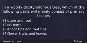 In A Woody Dicotyledonous Tree Which Of The Following Parts Biology Question