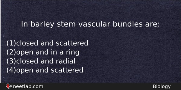 In Barley Stem Vascular Bundles Are Biology Question 