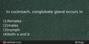 In Cockroach Conglobate Gland Occurs In Biology Question