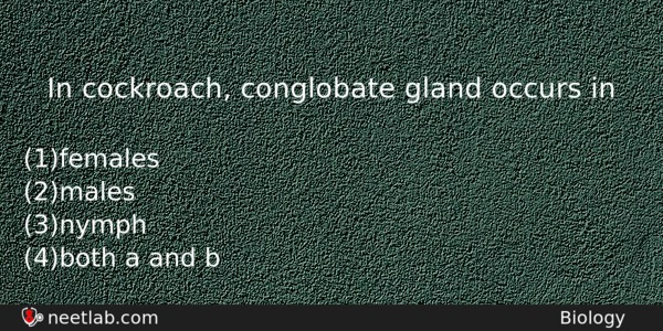 In Cockroach Conglobate Gland Occurs In Biology Question 