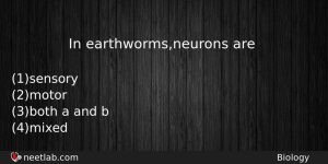 In Earthwormsneurons Are Biology Question