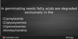 In Germinating Seeds Fatty Acids Are Degraded Exclusively In The Biology Question