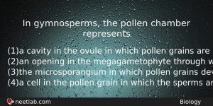 In Gymnosperms The Pollen Chamber Represents Biology Question