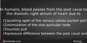 In Humans Blood Passes From The Post Caval To The Biology Question