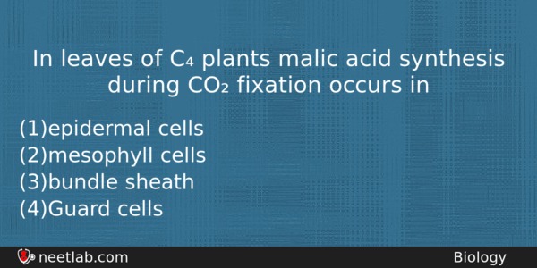In Leaves Of C Plants Malic Acid Synthesis During Co Biology Question 
