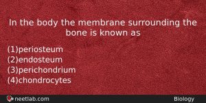 In The Body The Membrane Surrounding The Bone Is Known Biology Question