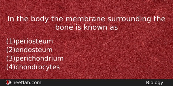 In The Body The Membrane Surrounding The Bone Is Known Biology Question 