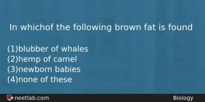 In Whichof The Following Brown Fat Is Found Biology Question